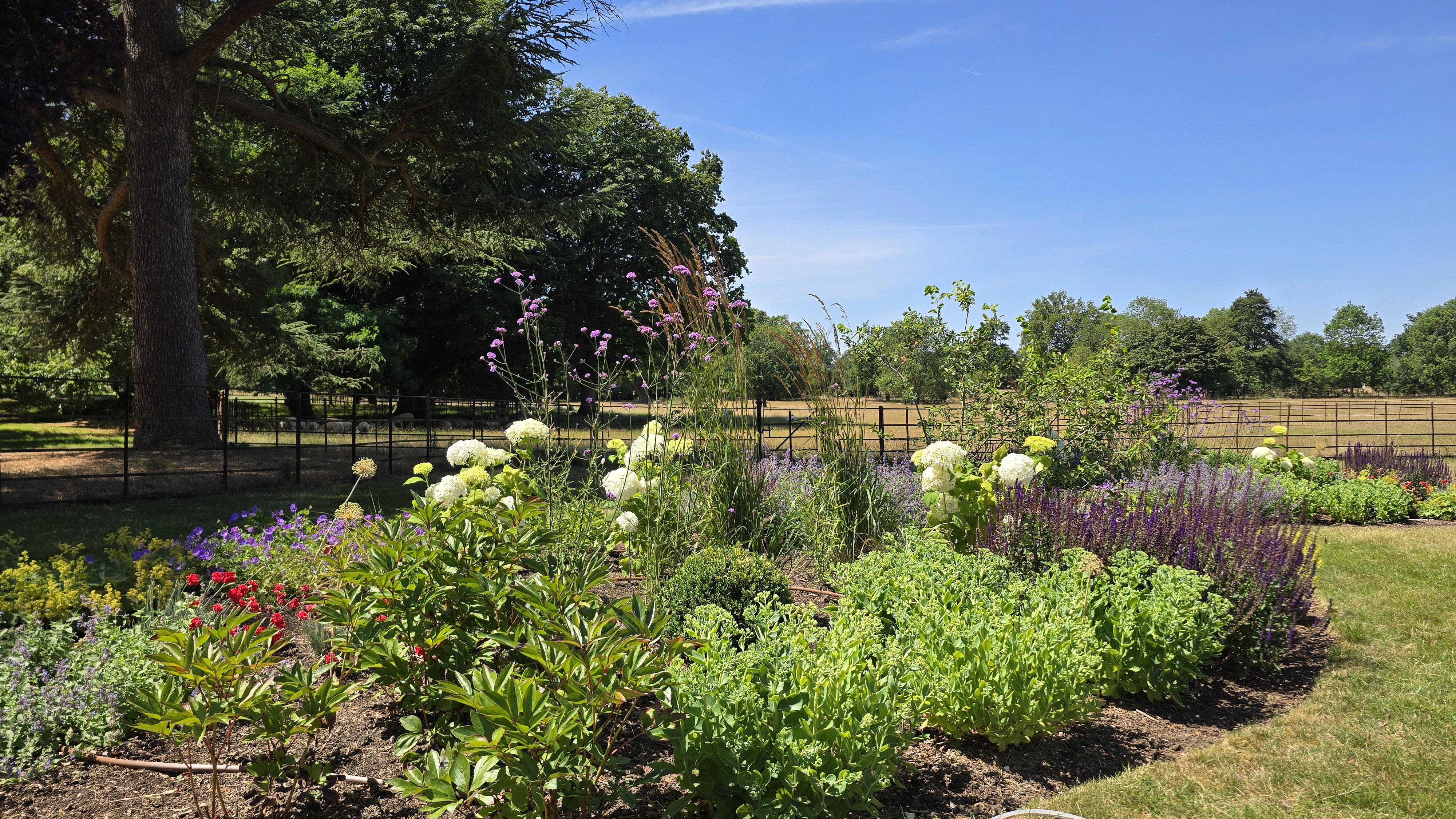 A mixed summer border in full flower