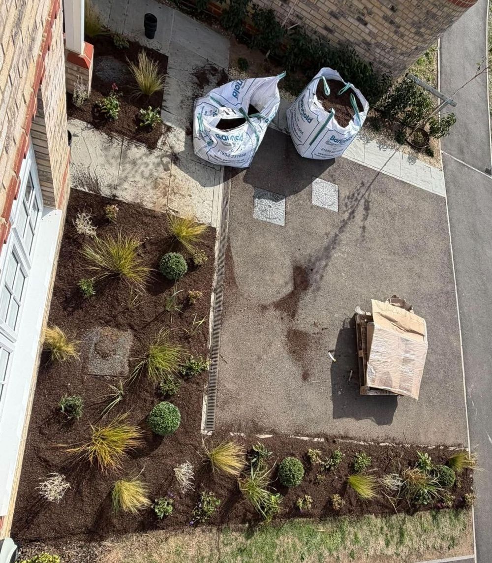 A newly planted front garden seen from an upstairs window: young grasses and clipped evergreen balls spaced out across fresh borders, with bulk bags of soil still on the drive