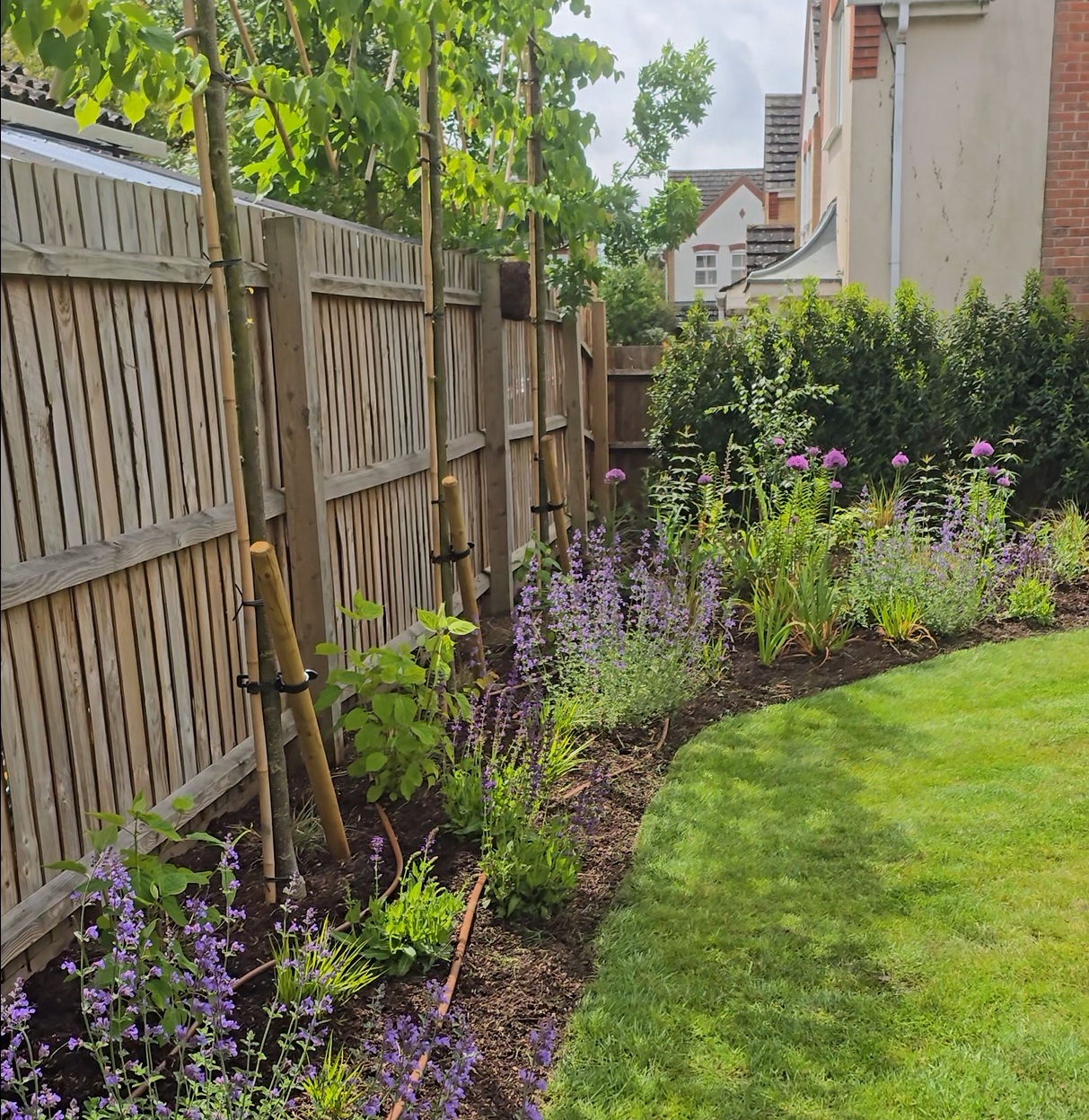 Newly planted garden border