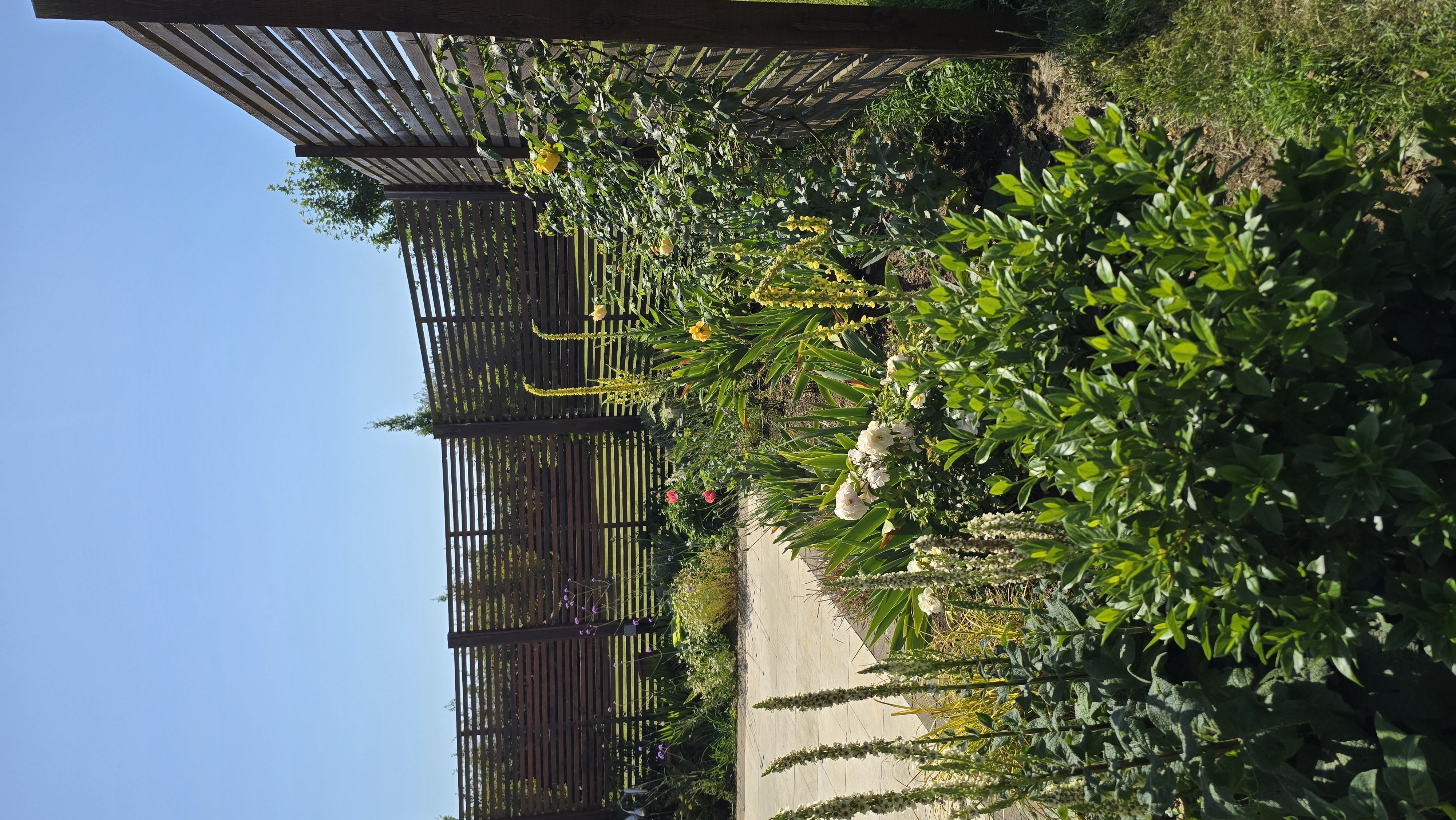 Haddenham project, photograph 6
