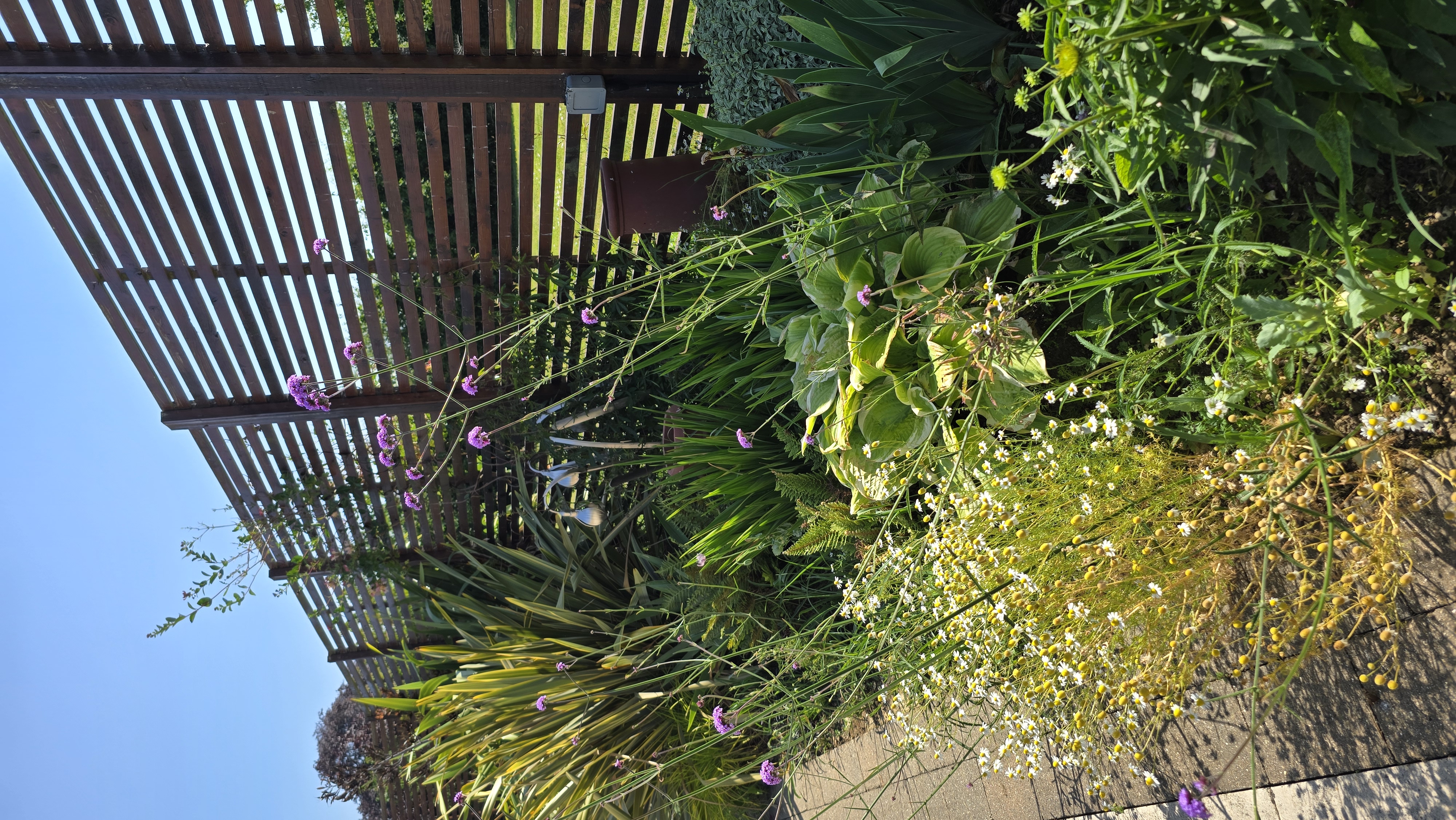Haddenham project, photograph 7