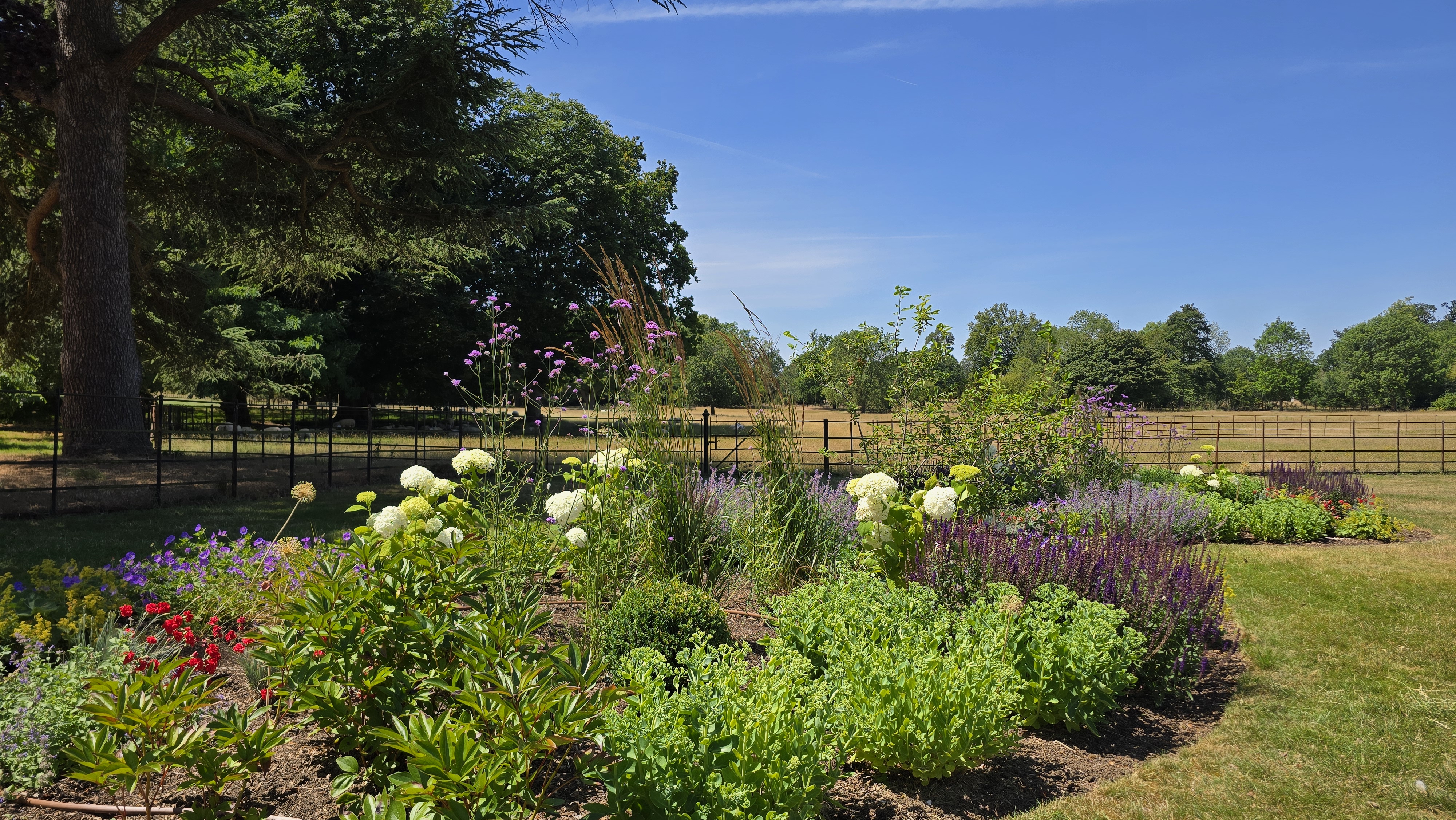 Hildersham project, photograph 3
