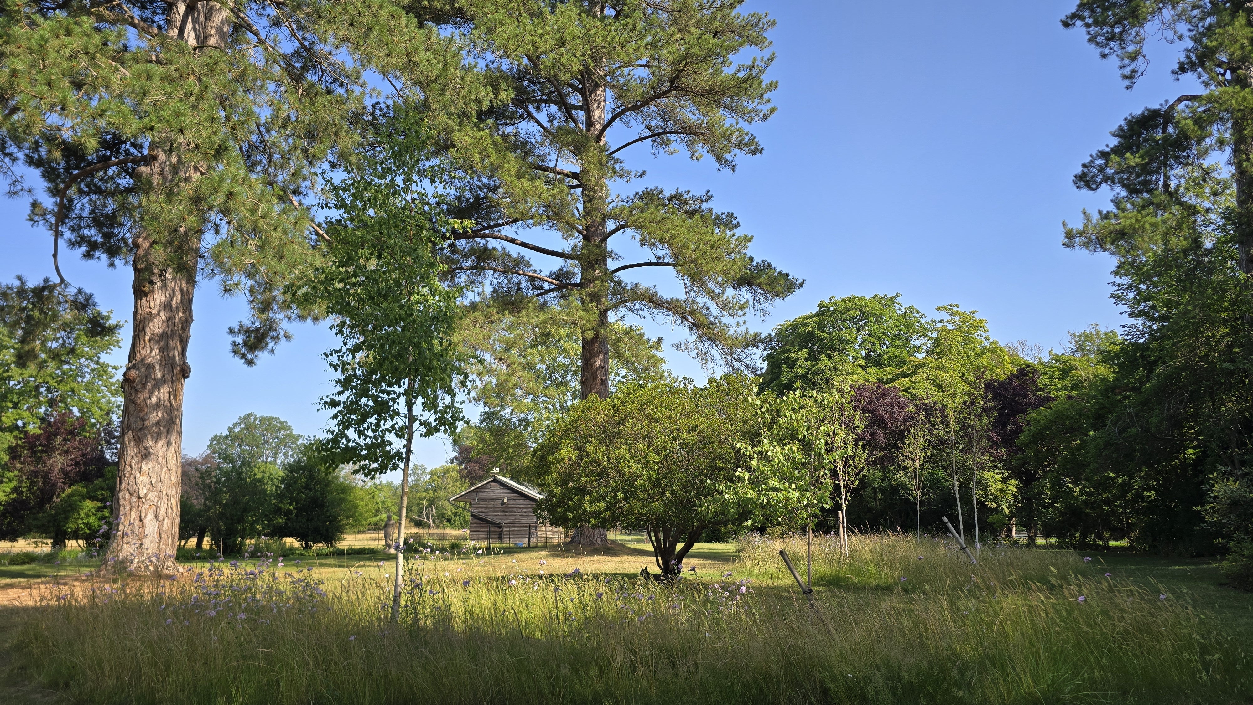 Hildersham project, photograph 7