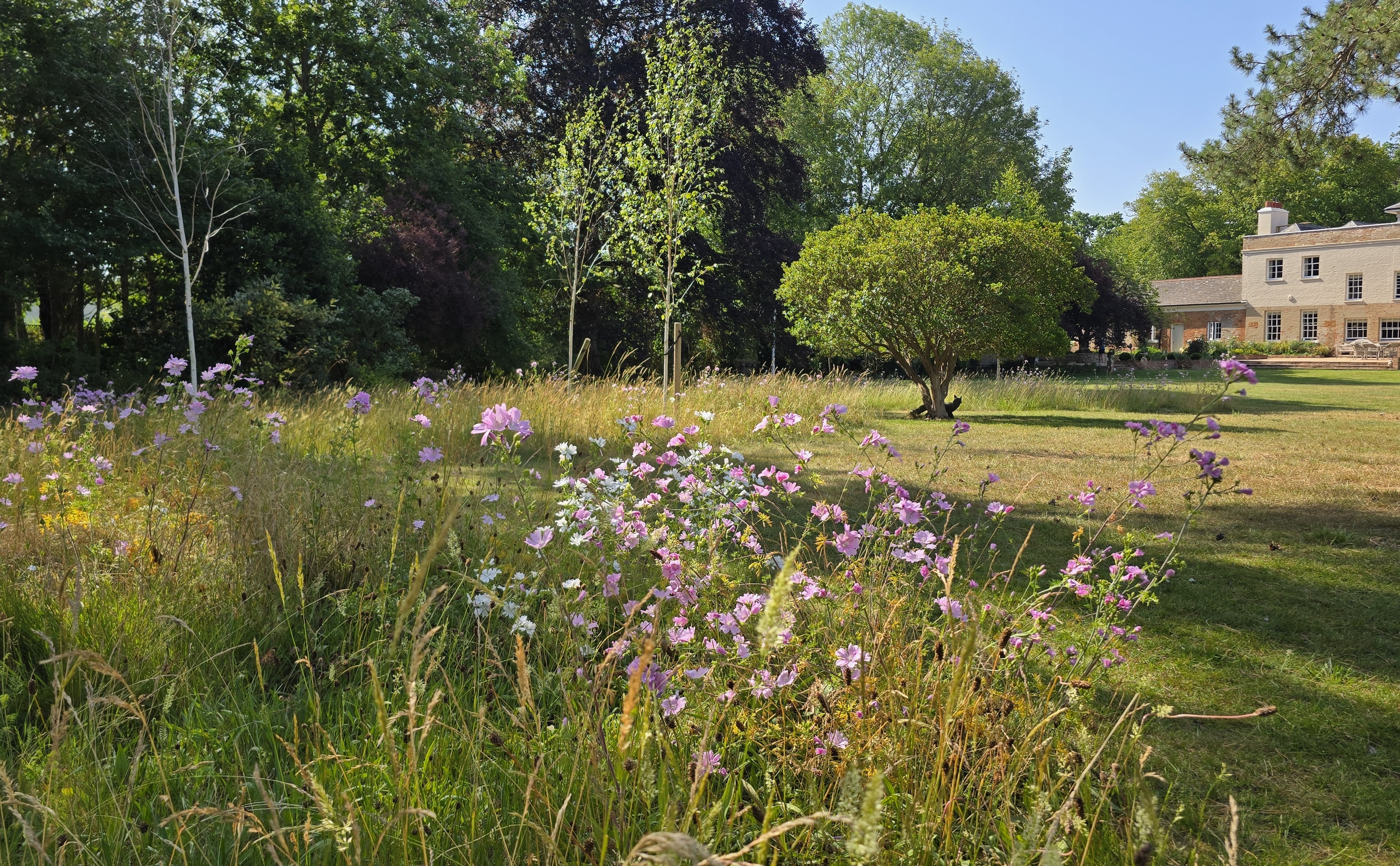 Hildersham project, photograph 8