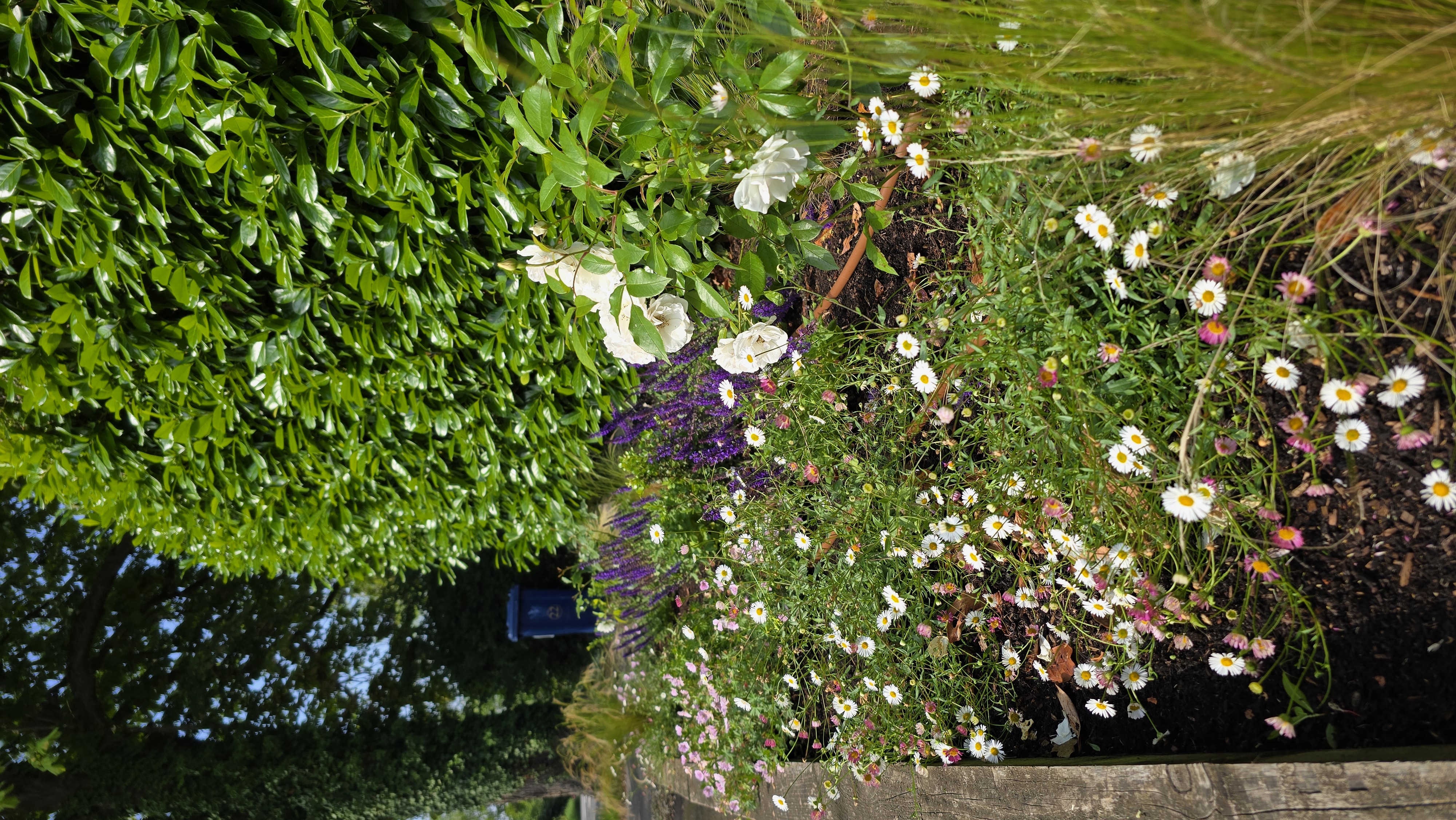 Madingley project, photograph 5