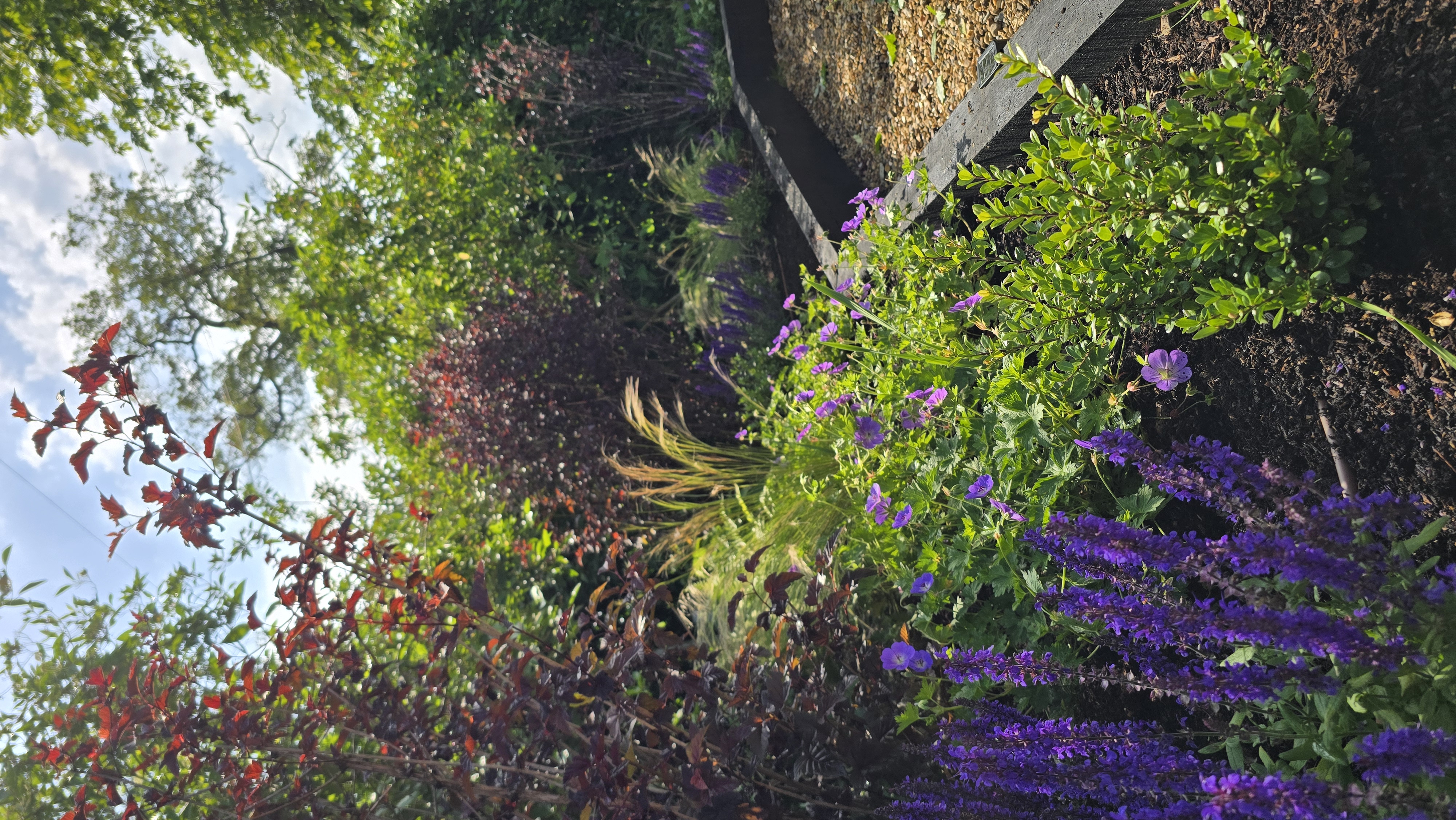 Madingley project, photograph 6