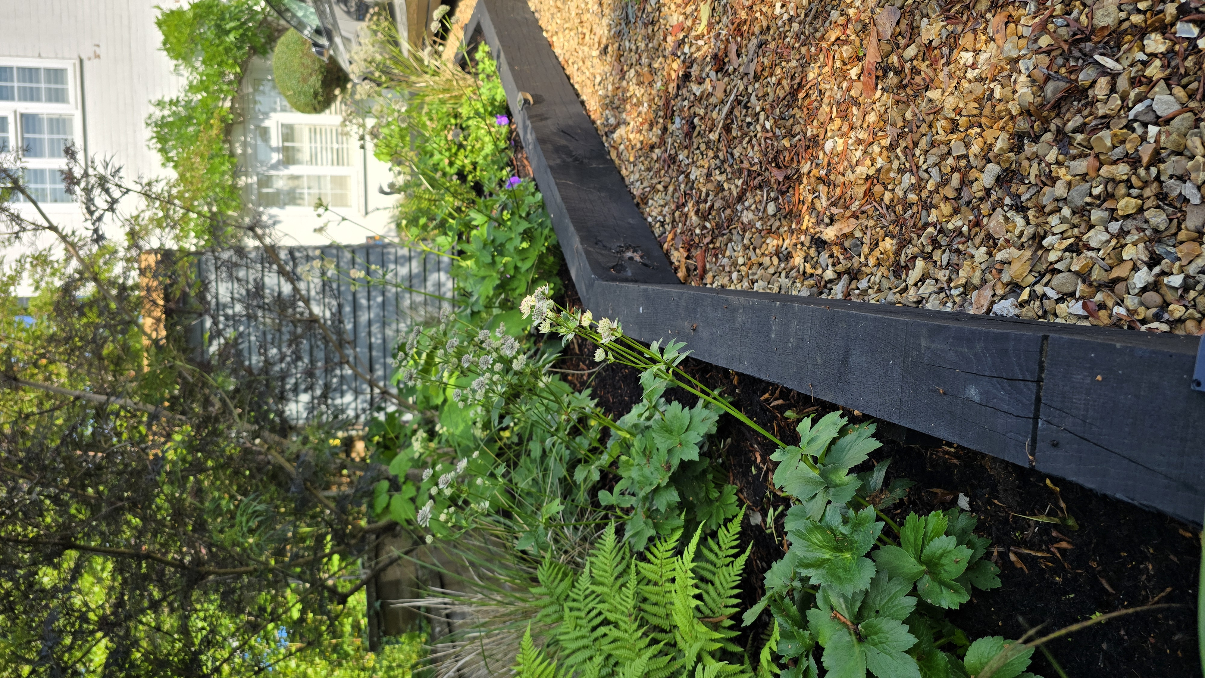 Madingley project, photograph 7